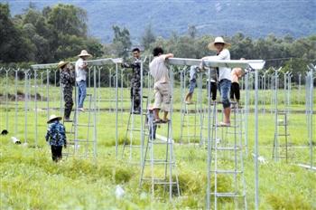 三亚扶持设施大棚调动农民积极性