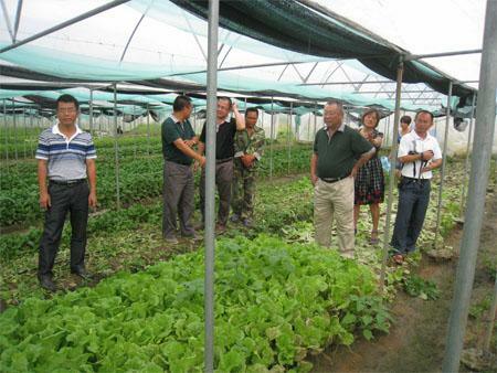 省农技中心深入考察常年蔬菜基地