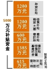 海口安排5000万用于农业灾后恢复