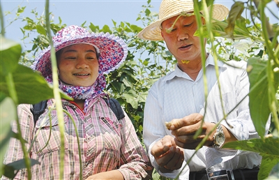 供销社:努力拉近农民与市场的距离